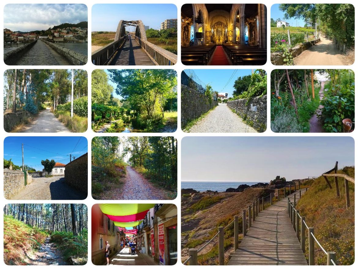 Camino de Santiago