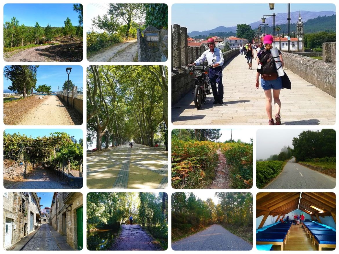 camino portugues